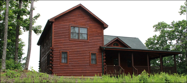 Professional Log Home Borate Application  York County, Virginia